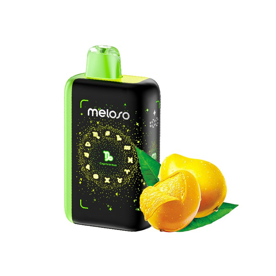 GEEKBAR MELOSO 30K