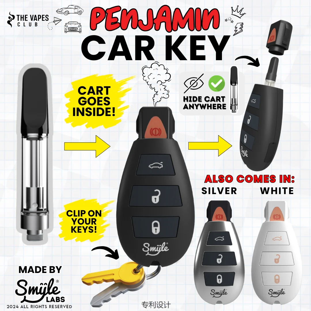 CAR KEY BATTERY